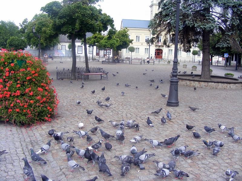 Kutno plac Piłsudskiego