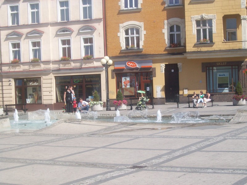 renek 2
