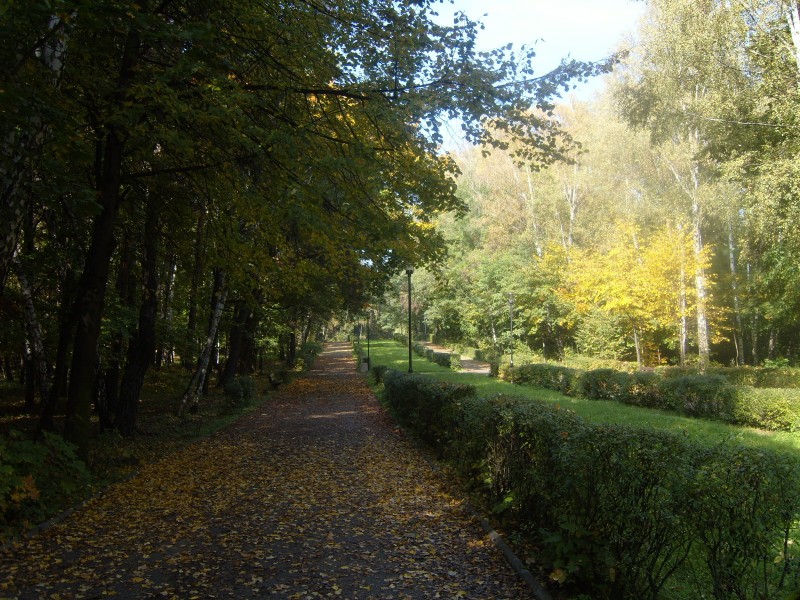 Park 