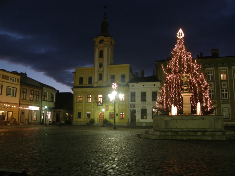 Ratusz w Skoczowie