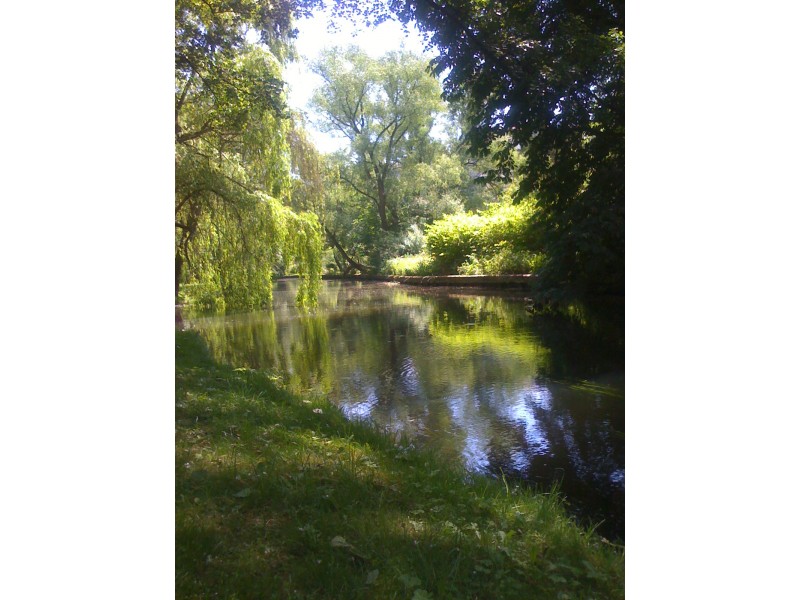 Park w Starogardzie Gd.