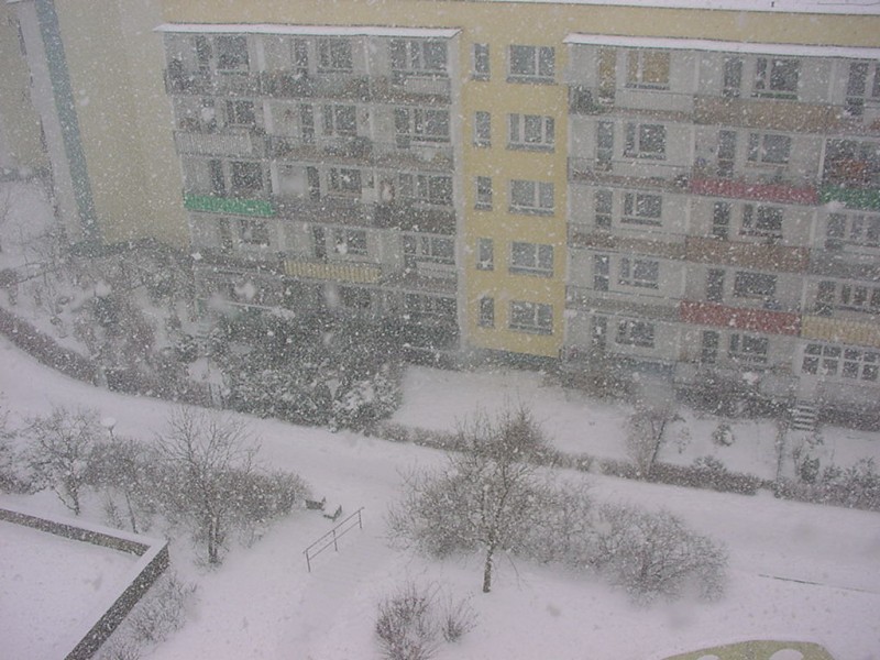 Śnieżyca  na oś.Przylesie w Koszalinie