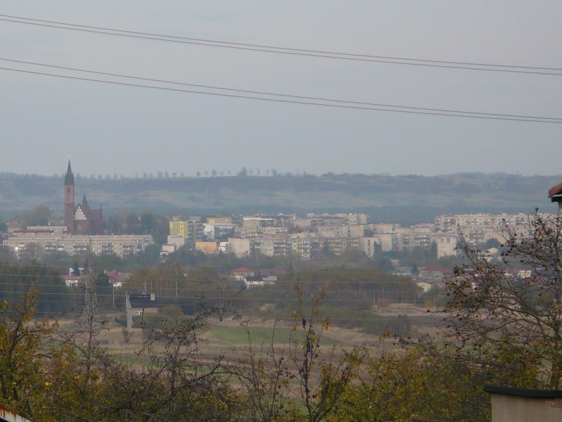 Panorama Miasta Myszkowa