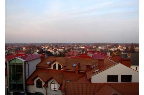 Nisko