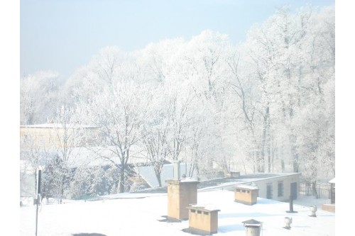 Park zimą - widok z akademika